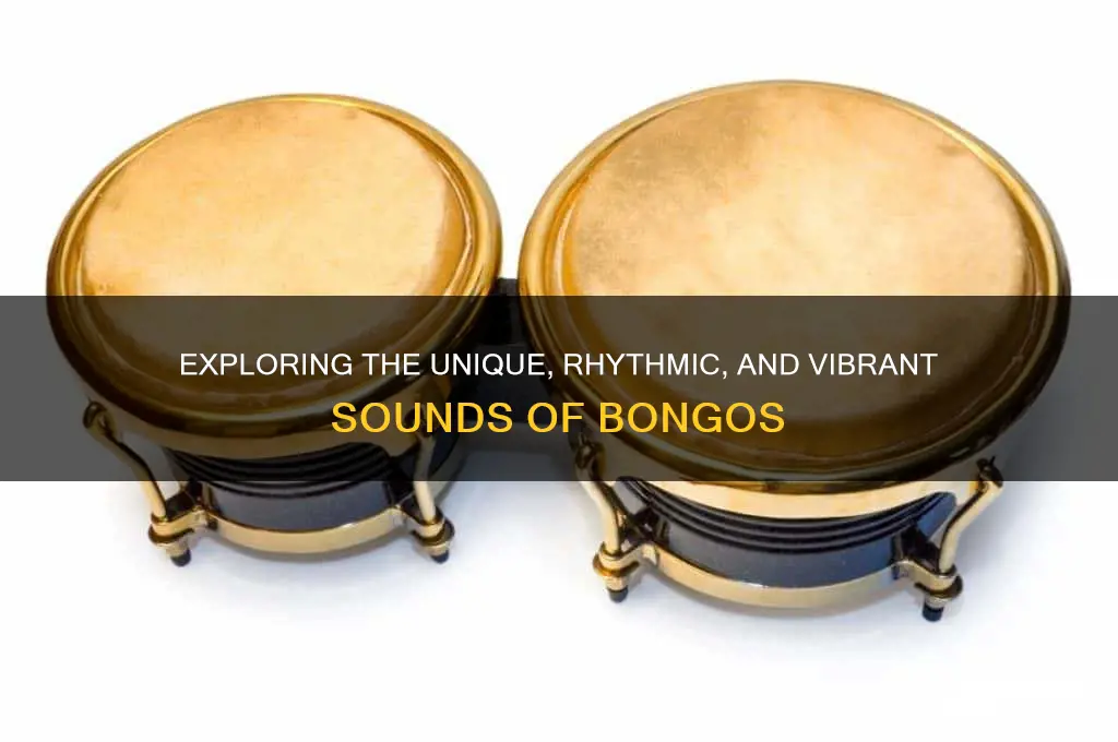 what do bongos sound like