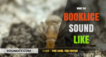 Unveiling the Silent World: What Do Booklice Sound Like?