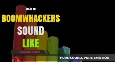 Discover the Unique, Tuneful Sounds of Boomwhackers: A Musical Exploration