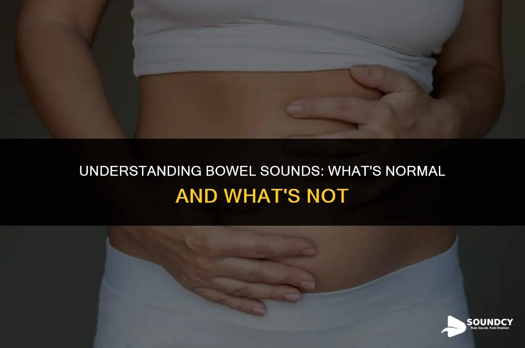 what do bowel sounds sound like if passing gas