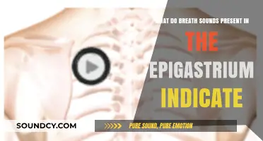 Unraveling the Mystery: Breath Sounds in the Epigastrium Explained