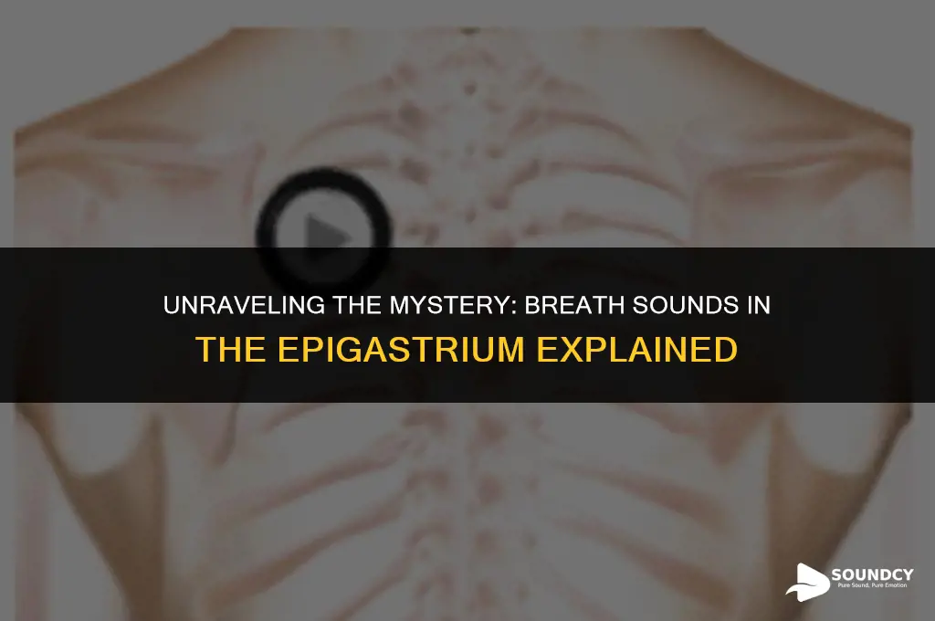 what do breath sounds present in the epigastrium indicate
