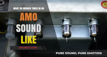 Echoes of Dissonance: The Sonic Aftermath of Broken Tubes in an Amo