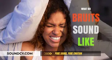 Understanding Bruits: What These Unique Vascular Sounds Actually Sound Like
