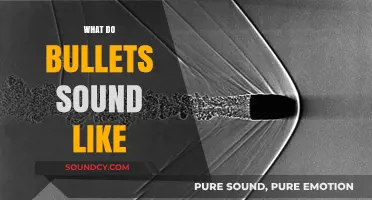 Unveiling the Acoustic Mystery: What Do Bullets Sound Like?