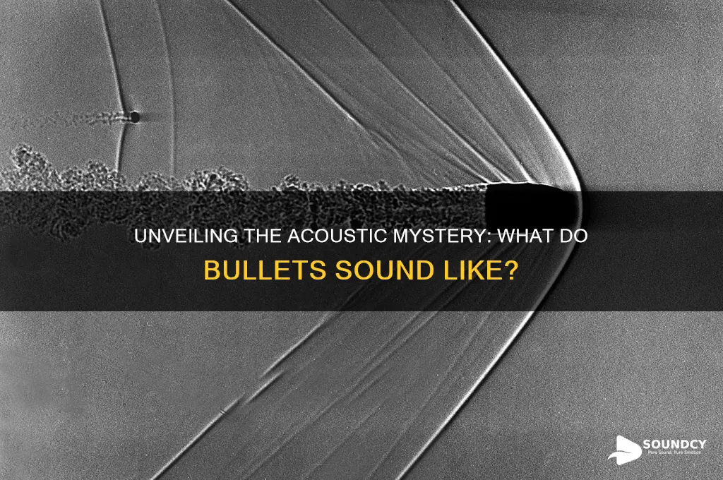 what do bullets sound like