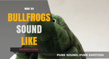 Unveiling the Unique Croaks: What Do Bullfrogs Sound Like?