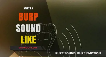 Unraveling the Unique Sounds of Burps: What Do They Really Sound Like?