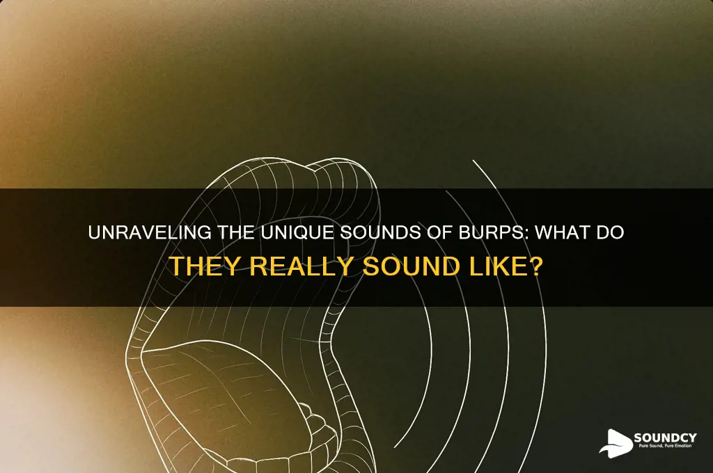 what do burp sound like