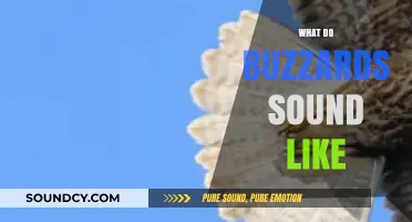 Unveiling the Unique Vocalizations: What Do Buzzards Sound Like?