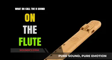 Understanding the Unique R Sound on the Flute: A Beginner's Guide