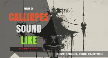 The Unique, Haunting, and Whimsical Sounds of Calliopes Explained