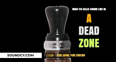 Echoes of Silence: Unraveling the Mysteries of Dead Zone Calls