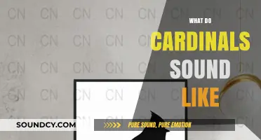 Discover the Unique and Enchanting Sounds of Cardinals in Nature