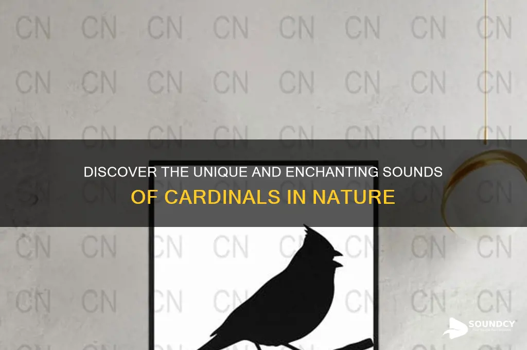 what do cardinals sound like