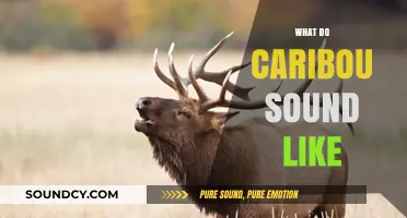 Unveiling the Unique Vocalizations of Caribou: What Sounds Do They Make?