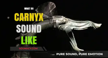 Unveiling the Haunting, Ancient Battle Cry: What Does a Carnyx Sound Like?