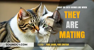 The Unique Vocalizations of Cats During Mating Season