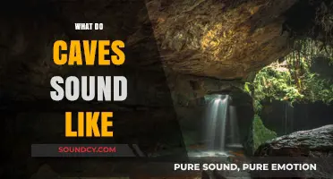 Echoes of the Underground: Exploring the Sonic World of Caves
