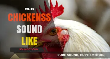 Clucks, Chirps, and More: Decoding the Sounds of Chickens