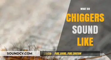 Unveiling the Mystery: Do Chiggers Make Any Audible Sounds?