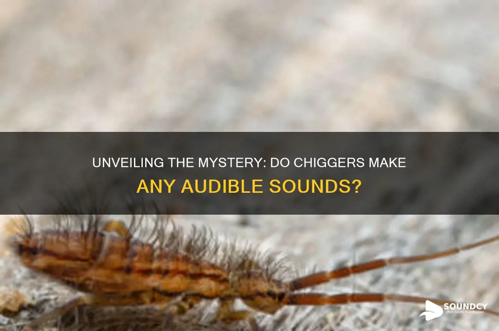 what do chiggers sound like