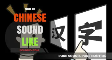 Exploring the Unique Tones and Accents of Chinese Speech Patterns