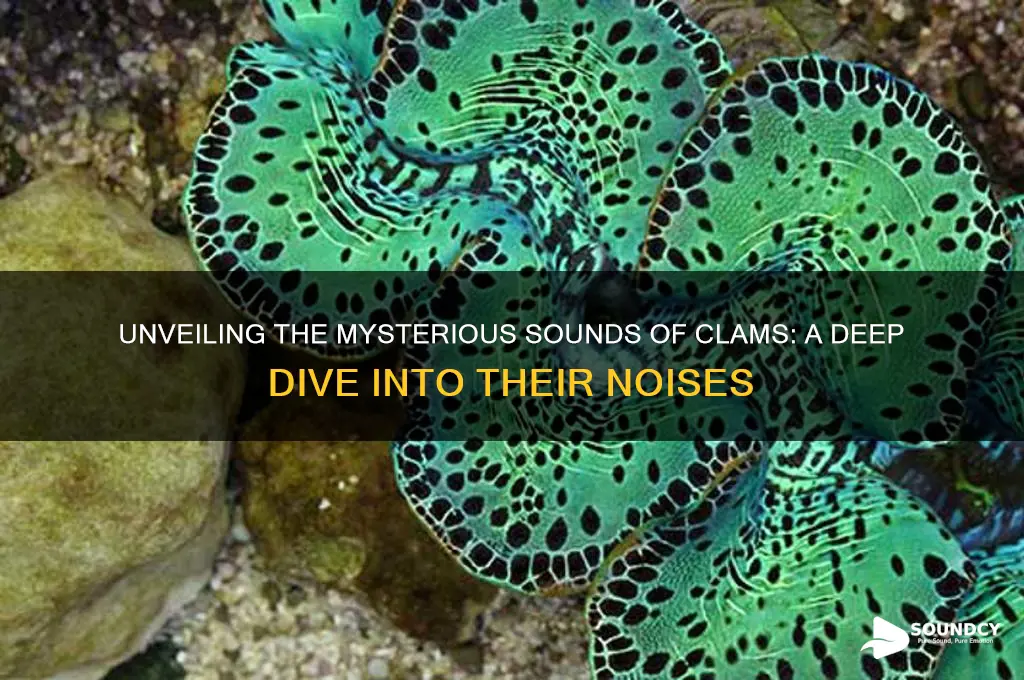 what do clams sound like