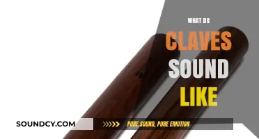 Exploring the Unique, Crisp, and Rhythmic Sound of Claves