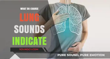 Coarse Lung Sounds: What Do They Mean?