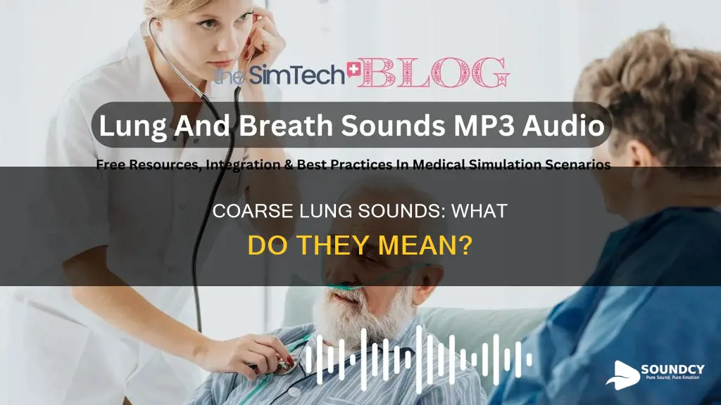 what do coarse lung sounds indicate