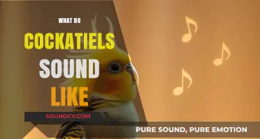 Discover the Unique Vocalizations and Sounds of Cockatiels