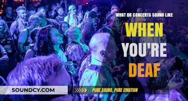 Echoes of Silence: A Deaf Perspective on Concert Experiences