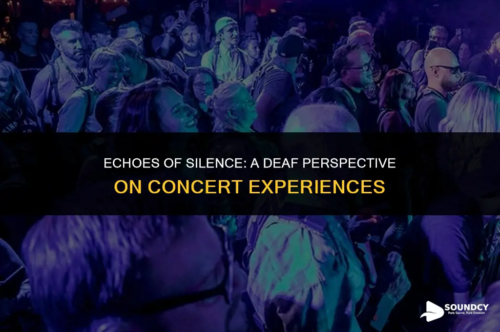 what do concerts sound like when you