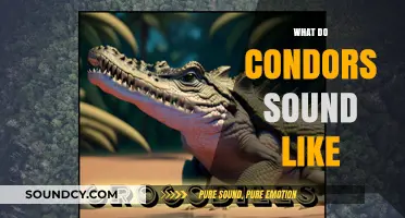 Unveiling the Unique Vocalizations: What Do Condors Sound Like?