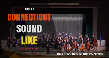Exploring Connecticut's Unique Soundscape: A Symphony of Nature and Culture
