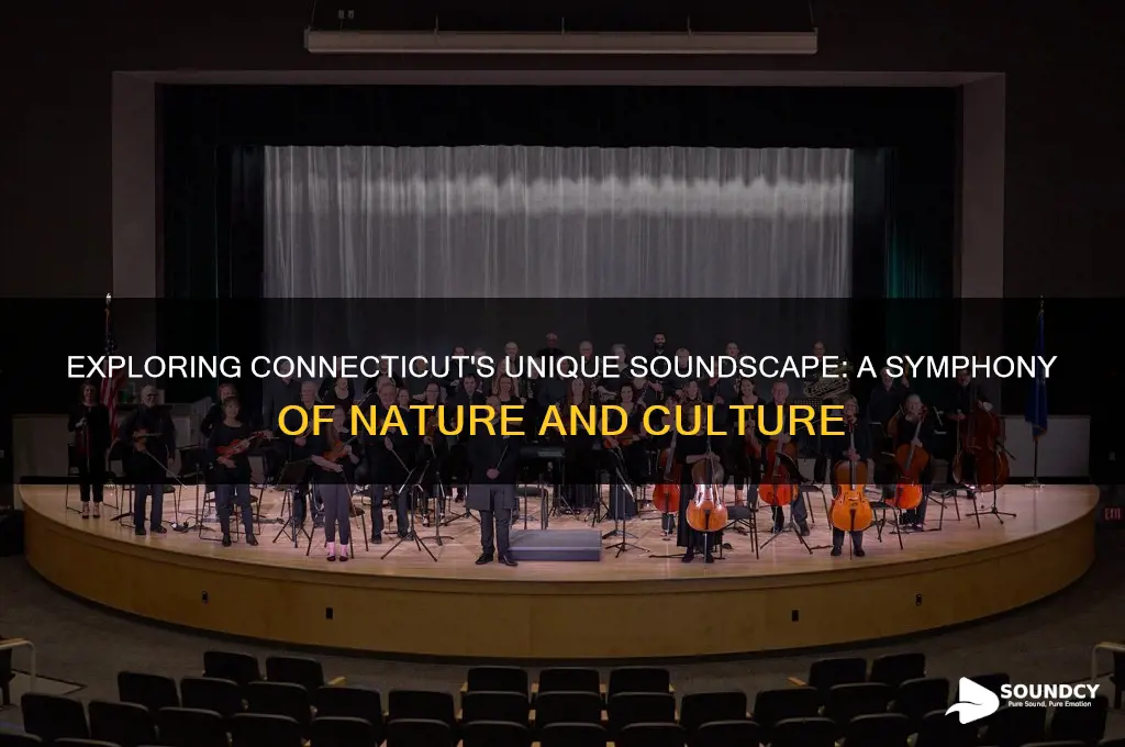 what do connecticut sound like