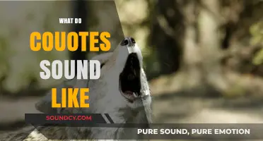 Unveiling the Unique Vocalizations: What Do Coyotes Sound Like?