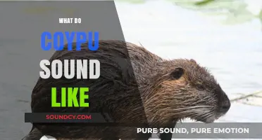 Unveiling the Unique Vocalizations: What Do Coypu Sounds Like?