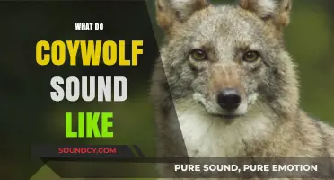 Unveiling the Coywolf's Howl: A Unique Blend of Sounds Explored
