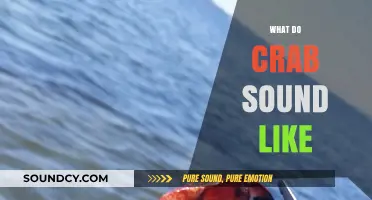 Unveiling the Surprising Sounds Crabs Make in Their Natural Habitat