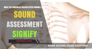 Decoding Crackles: Understanding Abnormal Lung Sounds in Assessment