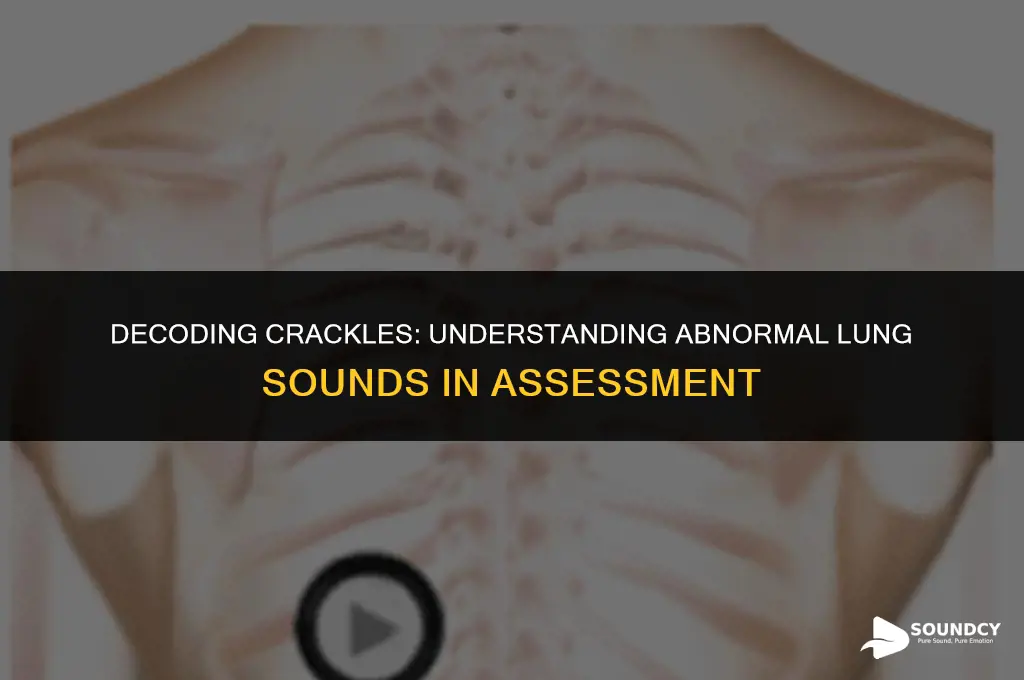 what do crackles auscultated during lung sound assessment signify