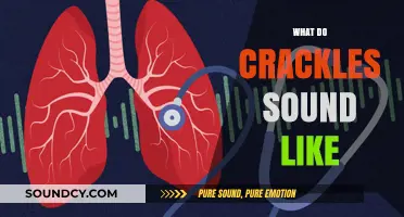 Understanding Crackles: What Do They Sound Like and Why It Matters