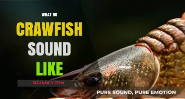 Unveiling the Surprising Sounds of Crawfish: A Deep Dive into Their Noises