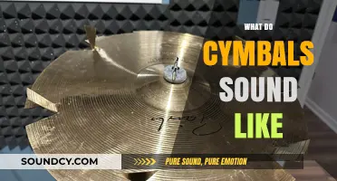 Exploring the Unique Sonic Qualities of Cymbals: What Do They Sound Like?
