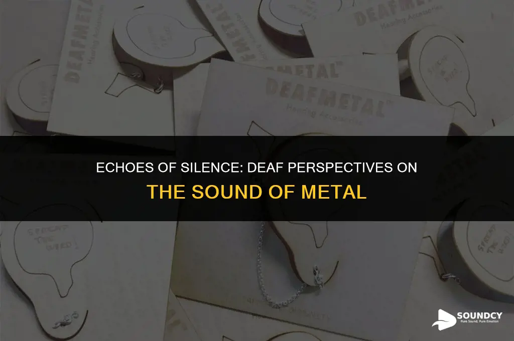 what do deaf people think of sound of metal
