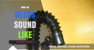 Unveiling the Unique Sounds of Deer: A Comprehensive Guide