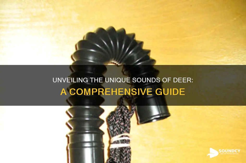 what do deers sound like