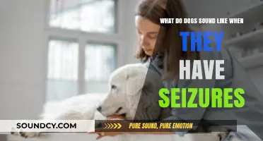 Understanding Canine Seizures: What Do Dogs Sound Like?